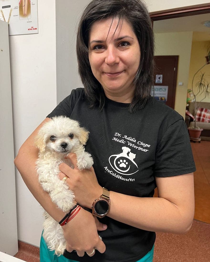 Dr. Ciupe Adela ținând în brațe un cățeluș alb, la un control de rutină